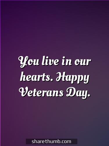 veterans day flag photos